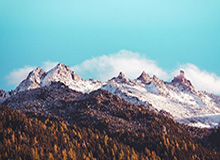 开云体育官方网址：开启专业级体育博彩的新纪元