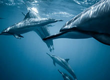 米乐体育——开启全新运动娱乐体验