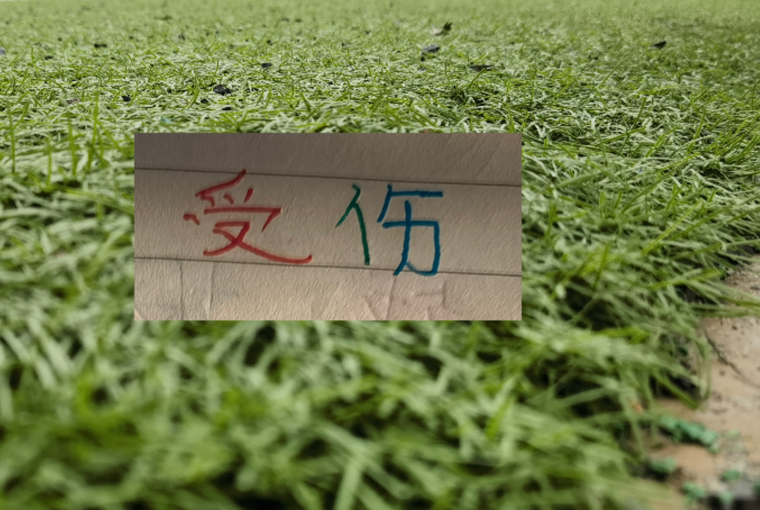 开云体育app-也是扯平！重庆让了李镇全+阿马杜 申花伤特谢拉 盖伊